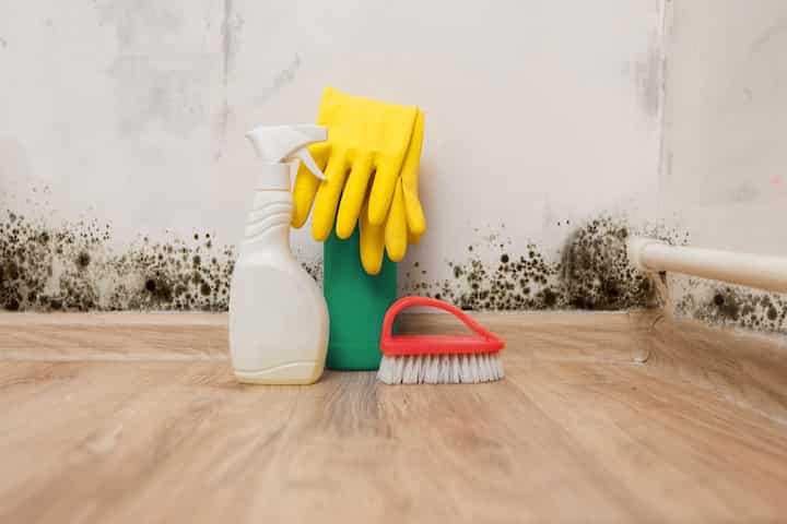 Special tools and chemicals must be used in mold remediation services in Dover, DE.